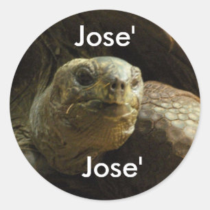 etiqueta para o nome: , Jose