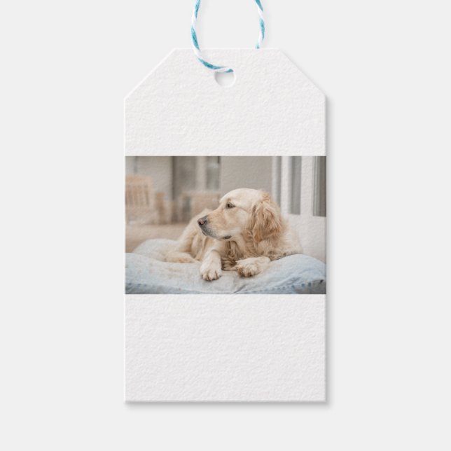 Etiqueta Para Presente 34137641_xxl (Frente)