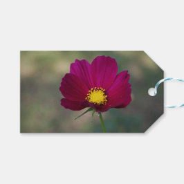 Etiqueta Para Presente A flor perfeita da irmã