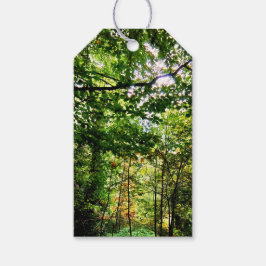 Etiqueta Para Presente A floresta