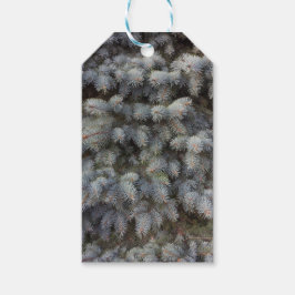 Etiqueta Para Presente Aço, cinza, verde e espadilha azul, meio de classe