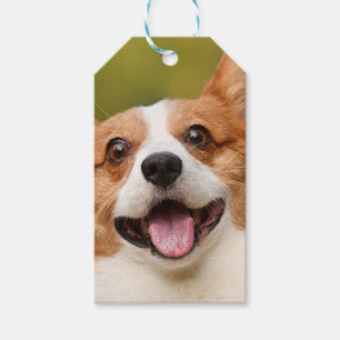 Etiqueta Para Presente Adicionar Foto de Cão Personalizada Personalizada