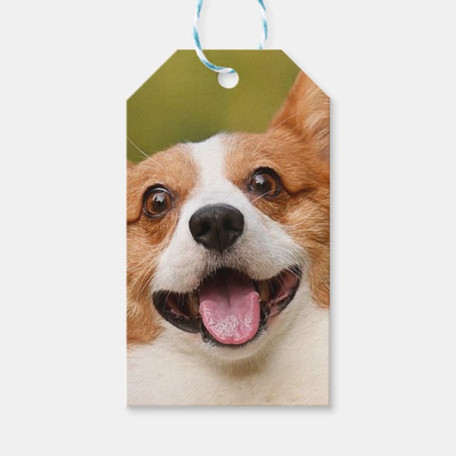 Etiqueta Para Presente Adicionar Foto de Cão Personalizada Personalizada (Frente)