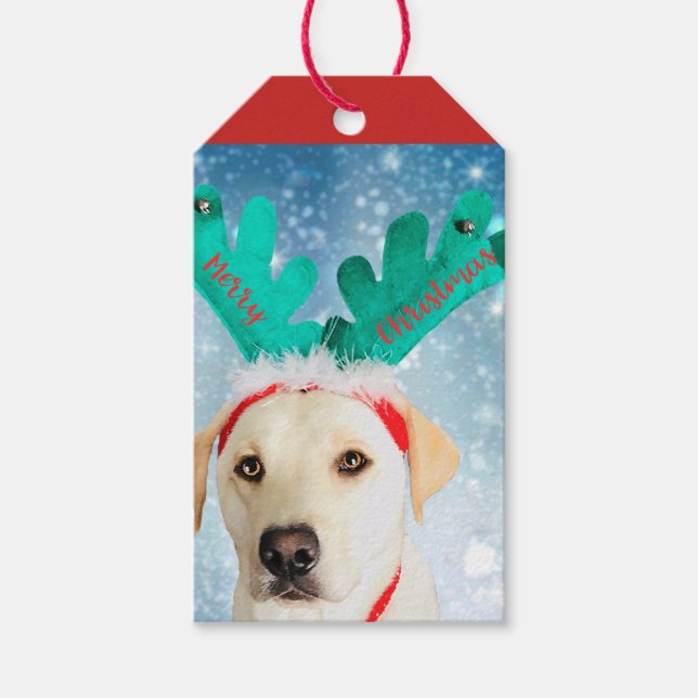 Etiqueta Para Presente Adorável Feliz Natal Cão Labrador (Frente)