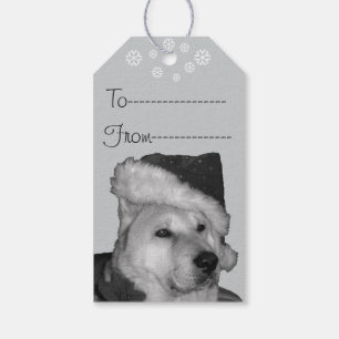 Etiqueta Para Presente Akita bonito no cão vermelho do Natal do chapéu
