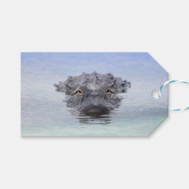 Etiqueta Para Presente American Alligator – Lake Apopka Wildlife Drive