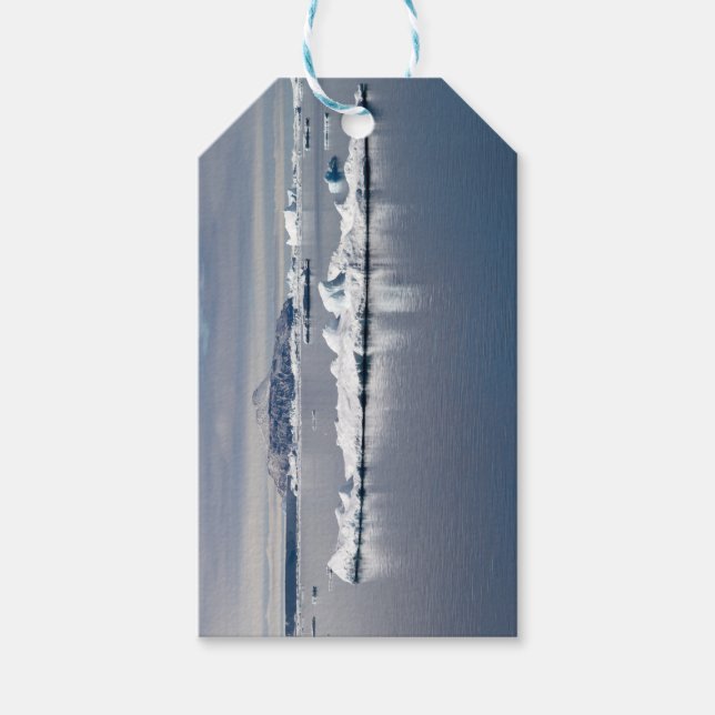 Etiqueta Para Presente Antarctica landscape (Frente)