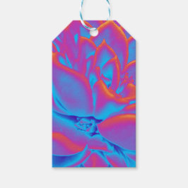 Etiqueta Para Presente Arco-íris - Planta suculenta