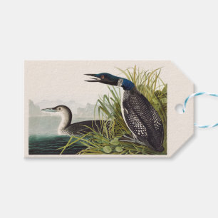 Etiqueta Para Presente Arte da Natureza com Ave Mergulhão-do-commons Vint