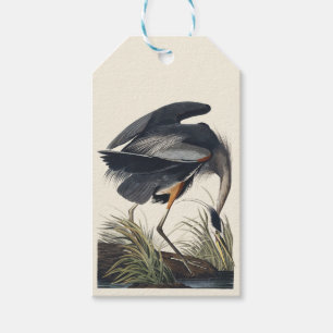 Etiqueta Para Presente Arte da Natureza da Garça Azul Grande Audubon Vint