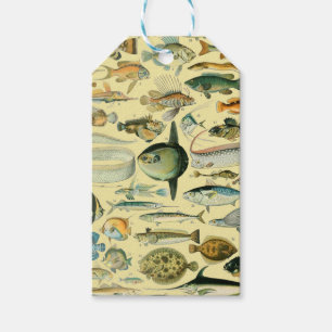 Etiqueta Para Presente Arte De Pesca Científica Para Peixes Vintage