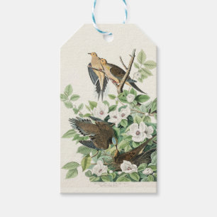 Etiqueta Para Presente Arte Floral Vintage de Pombo Chorão de Audubon