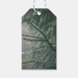 Etiqueta Para Presente Árvore de abeto verde close-up, estética de Natal