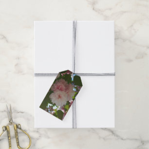 Etiqueta Para Presente Árvore de cereja I Primavera Floral com duas flor