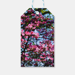 Etiqueta Para Presente Árvore de Dogwood florada rosa
