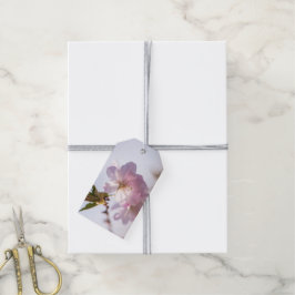 Etiqueta Para Presente árvore de floração primavera
