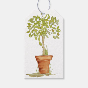 Etiqueta Para Presente Árvore do Topiary da aguarela