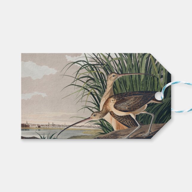 Etiqueta Para Presente Ave-do-relvado-de-bico-longo-Audubon (Frente (horizontal))