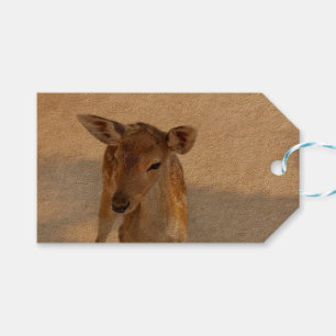 Etiqueta Para Presente Baby Deer