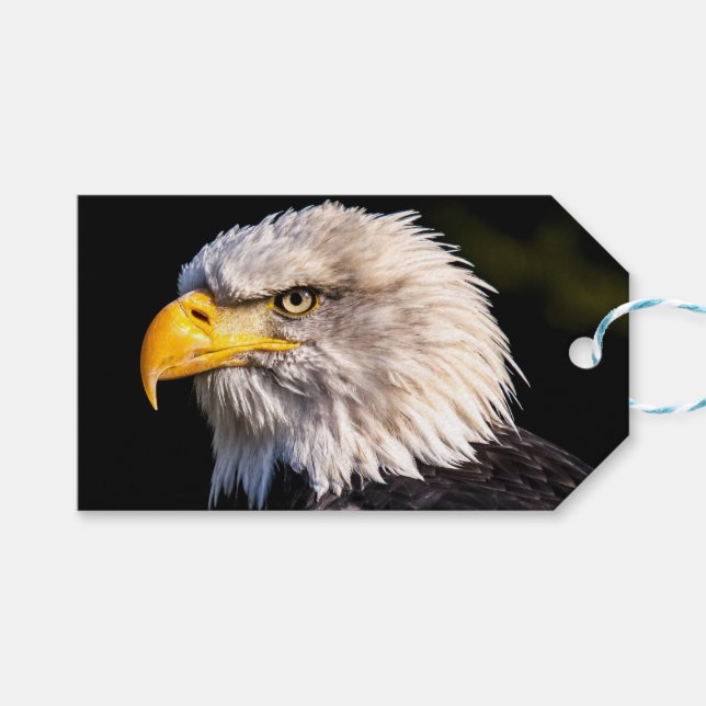 Etiqueta Para Presente Bald Eagle (Frente (horizontal))