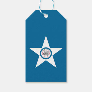 Etiqueta Para Presente Bandeira da cidade de Houston, Texas Gift Tags