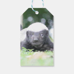Etiqueta Para Presente Bebê docinho