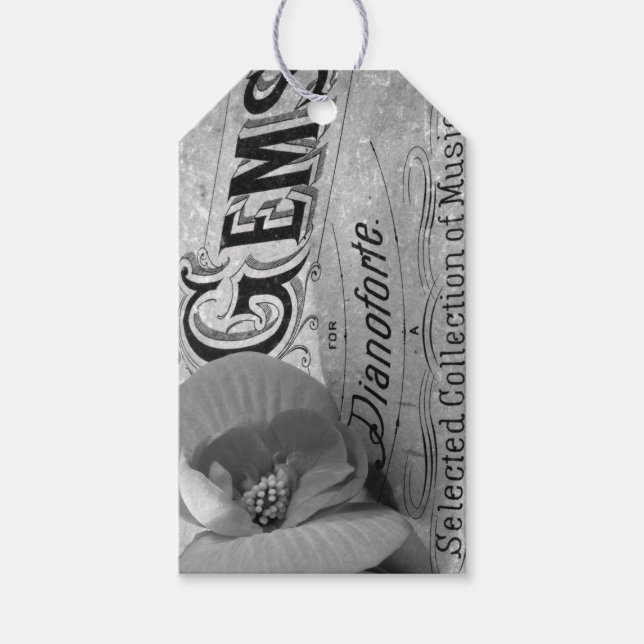 Etiqueta Para Presente Begonia Gems Pianoforte (Frente)