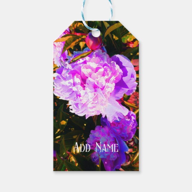 Etiqueta Para Presente Belas Peônias Rosa (Frente)