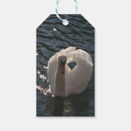 Etiqueta Para Presente Belo adesivo redondo clássico de cisne branco