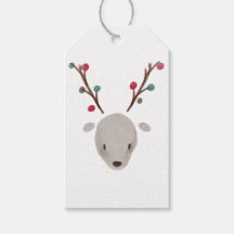 Berna de Veado Adorável e Bonita