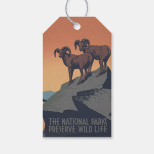 Etiqueta Para Presente Bighorn Sheep American West Willife