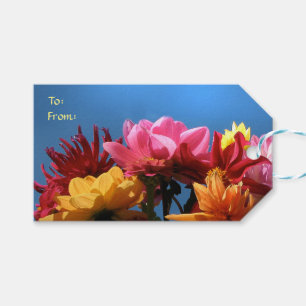 Etiqueta Para Presente Bloco colorido das flores da dália de Tag do