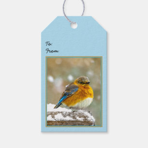 Etiqueta Para Presente Bluebird oriental na neve - Foto original