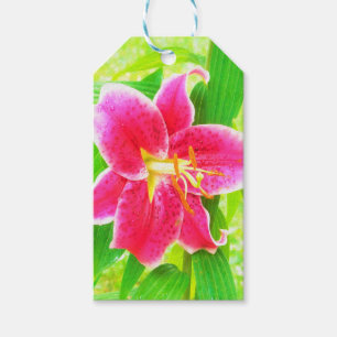 Etiqueta Para Presente Bonito Stargazer Rosa Profundo Lily no Verde limã