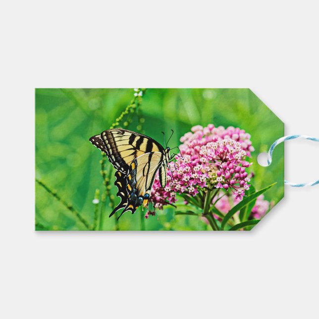 Etiqueta Para Presente Borboleta-de-cauda-gigante (Frente (horizontal))