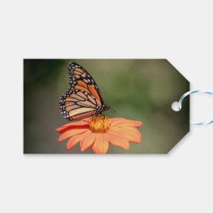 Etiqueta Para Presente Borboleta Monarca numa flor de laranja