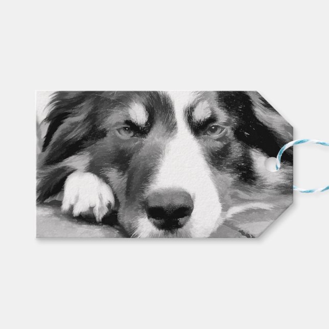 ETIQUETA PARA PRESENTE BORDER COLLIE (Frente (horizontal))