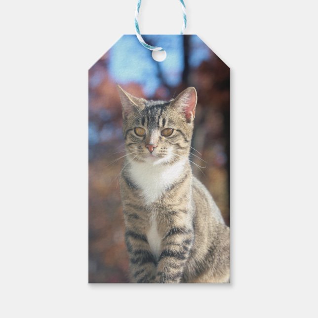 Etiqueta Para Presente Brin (Frente)