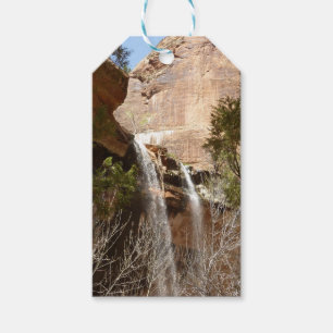 Etiqueta Para Presente Cachoeira do Emerald Pool I do Zion National Park