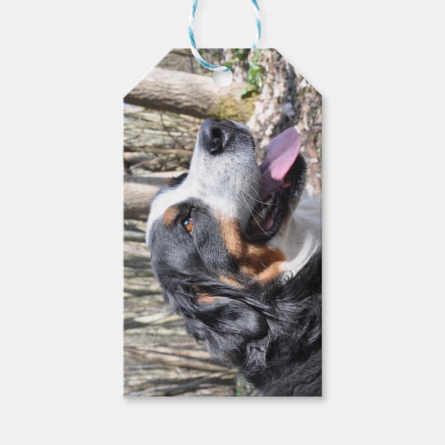 Etiqueta Para Presente cachorro de montanha bernês quarto (Frente)