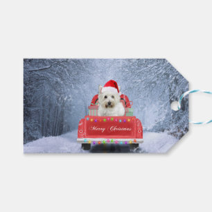 Etiqueta Para Presente Cachorro de Terrier Branco de West Highland em Sno