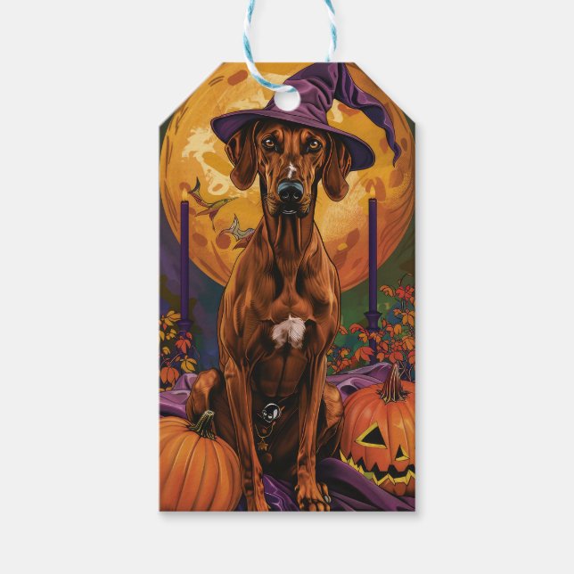 Etiqueta Para Presente Cachorro Rhodesian Ridgeback Halloween Bruxa Abóbo (Frente)