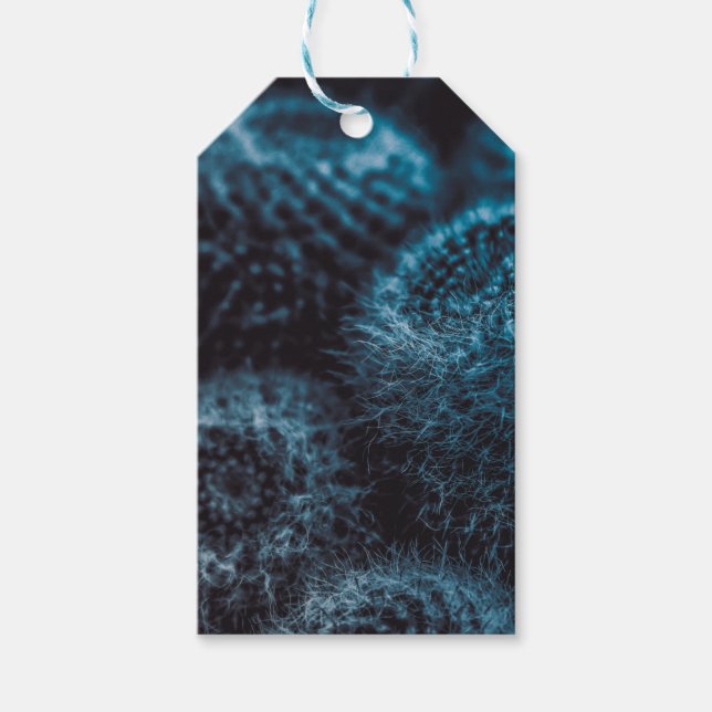 Etiqueta Para Presente Cacto Escuro (Frente)