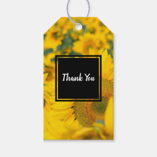 Etiqueta Para Presente Campo Amarelo de Girassóis Fotografia Obrigado