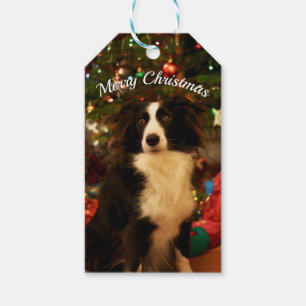 Etiqueta Para Presente Cão de Árvore de Natal