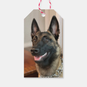 Etiqueta Para Presente Cão Malinois belga
