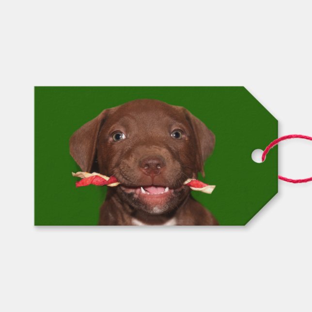 Etiqueta Para Presente Cãozinho bonito de Natal (Frente (horizontal))