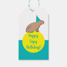 Capivara Aniversário Personalizado de Crianças Ani