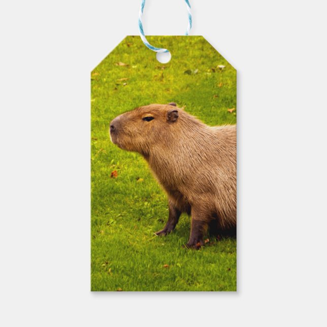 Etiqueta Para Presente Capybara (Frente)