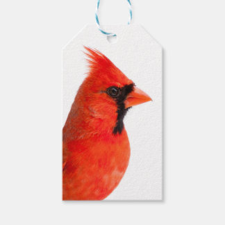 Etiqueta Para Presente Cardinal